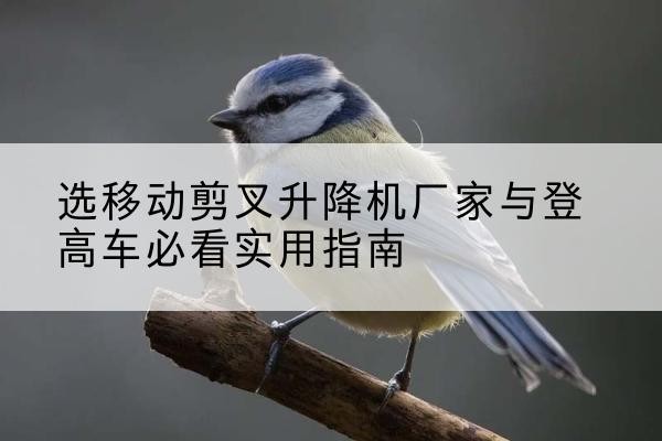 谯城电动升降机厂家-选移动剪叉升降机厂家与登高车必看实用指南