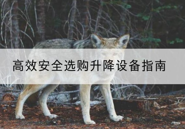 谯城升降货梯厂家推荐-*安全选购升降设备指南