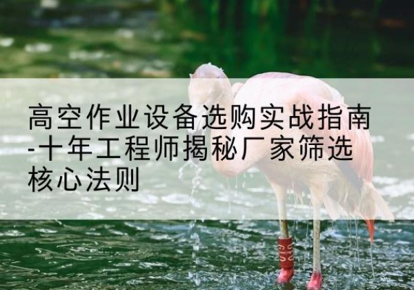 谯城剪叉式升降机厂家-高空作业设备选购实战指南-十年工程师揭秘厂家筛选核心法则